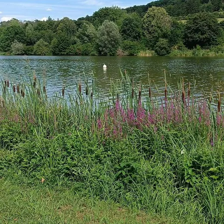 Fraenkische Seenliebe *