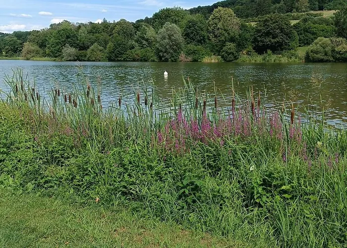 Fraenkische Seenliebe *